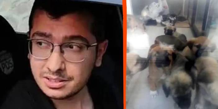 Köpeklere tecavüz eden doktora 9 yıl hapis