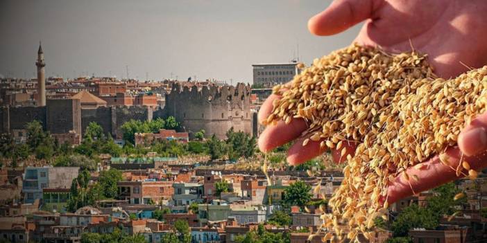 Diyarbakır’da ‘pirinç’ fırsatçıları yine devrede