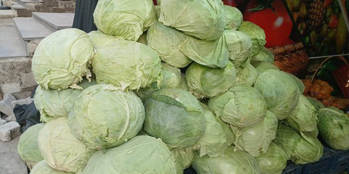 Diyarbakır'da Muş lahanaları tezgâhlarda yerini aldı