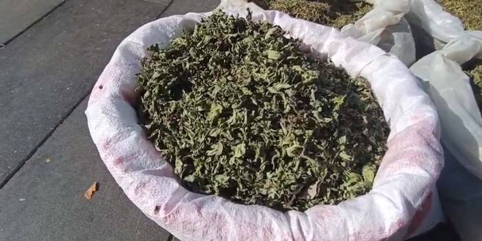 Kulp’un dağlarından Diyarbakır’a: Kilosu 1500 lira