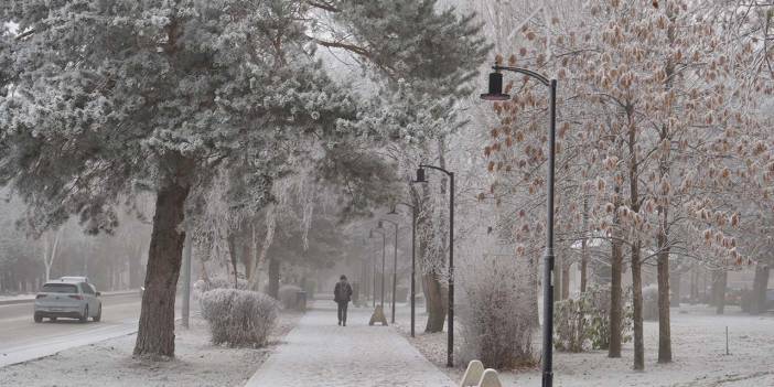 Erzurum sis ve kırağı etkili oldu