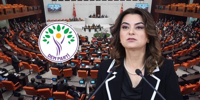 İmralı’ya giden Koçyiğit atılacak adımları açıkladı