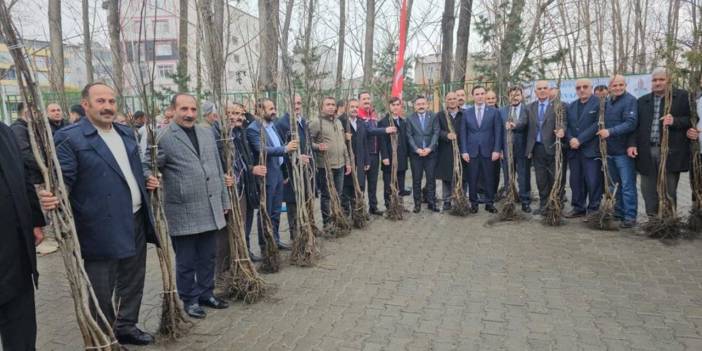 Bitlis’te çiftçiye 12 bin ceviz fidanı dağıtıldı