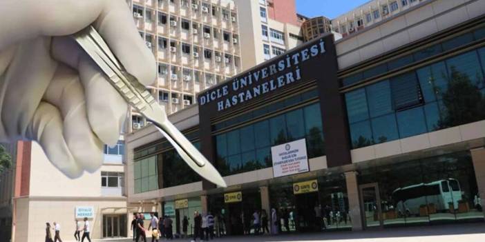 Diyarbakır: 15 yıl hapsi istenen doktor göreve döndü