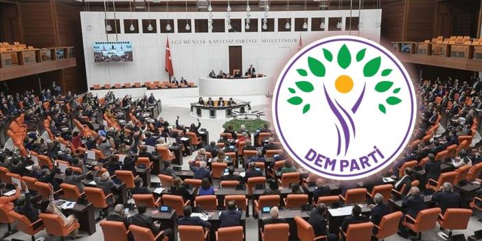 DEM Partili vekilden Meclis’teki taciz olayına ilişkin açıklama