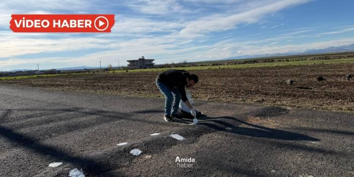 Diyarbakırlı öğretmen takdir topladı: Kalemi bıraktı fırçayı aldı