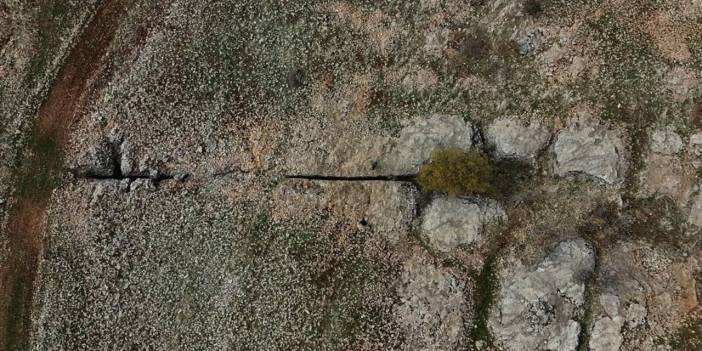 Diyarbakır'da yüz milyonlarca yıllık fosiller bulundu