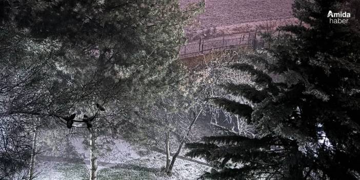 Diyarbakır’da kar yağışı başladı: Valilikten açıklama