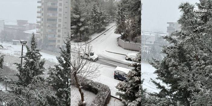 Diyarbakır beyaza büründü: Okullar tatil olacak mı?