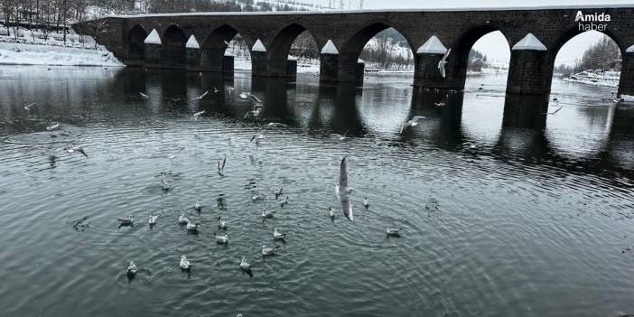 Dicle Nehri’nden muhteşem kış görüntüleri!