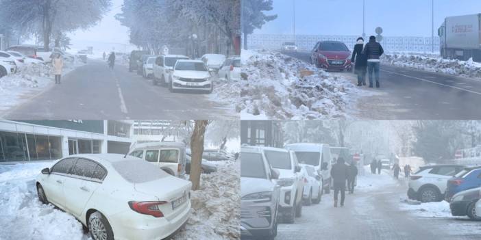 Kar, buz ve sis: Diyarbakır görünmez oldu