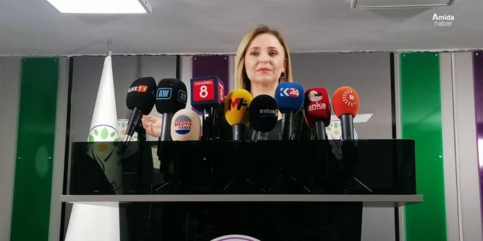 Ayşegül Doğan: Türkiye yapıcı bir rol almalı