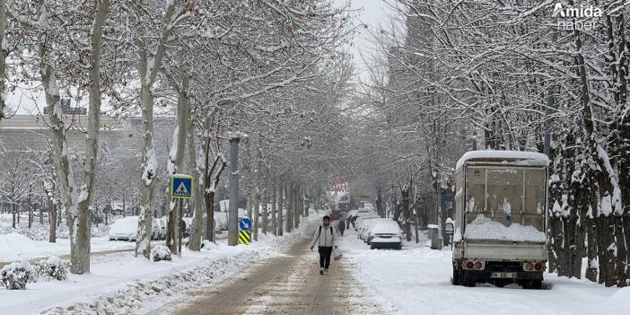 Diyarbakır'da kar yağışı: Uçak seferleri iptal edildi