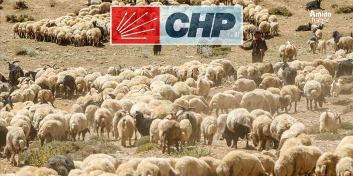CHP’li isimden Kars, Ağrı ve Van çağrısı: 150 bin yetmez