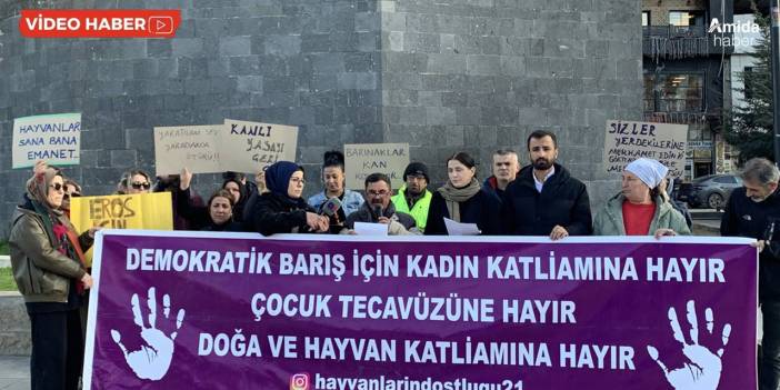 Diyarbakır’dan çağrı: Öfkenizi hayvanlardan çıkarmayın