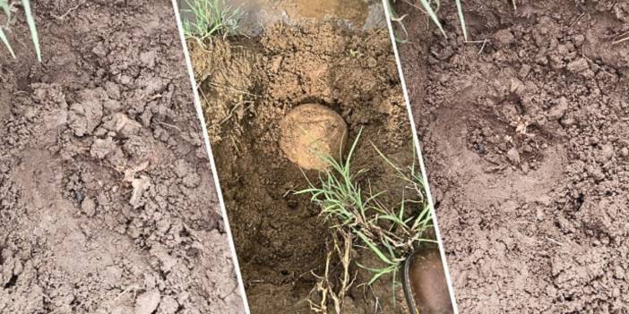 Diyarbakır’da bulunan kemiklerin kime ait olduğu belirlendi