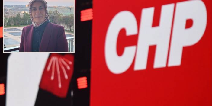 CHP’li Erdoğan’dan anadilde eğitim çıkışı