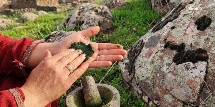 Diyarbakır’da yosun kınaya rakip oldu
