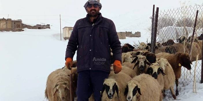 ‘Doğu’da mera krizi: Kar kalkmadı, yem bitti!