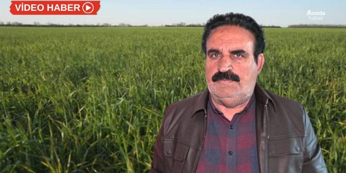 Diyarbakır’da husumet tarlaya sıçradı: Zehir attılar