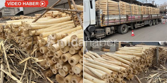 Diyarbakır’dan Ankara’ya rapor: Dağlarımız çıplak!