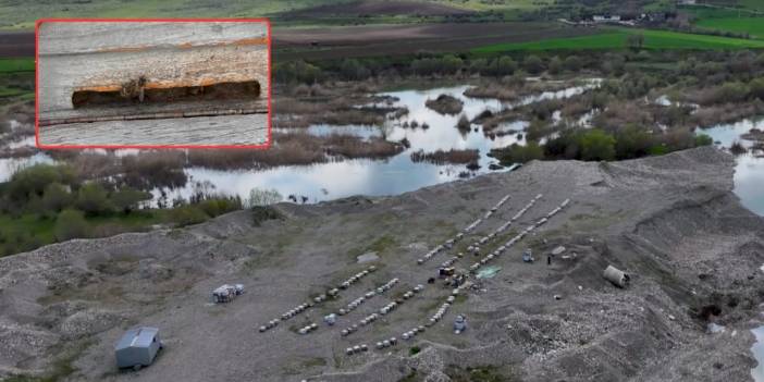 Doğa canlandı: Diyarbakır’a bal akacak