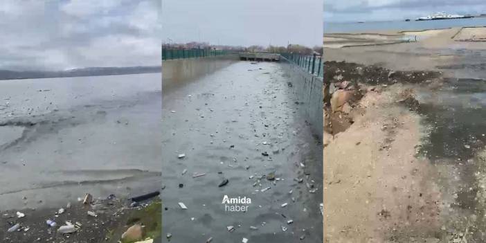 Van Gölü ‘imdat’ diyor: Atık doldu