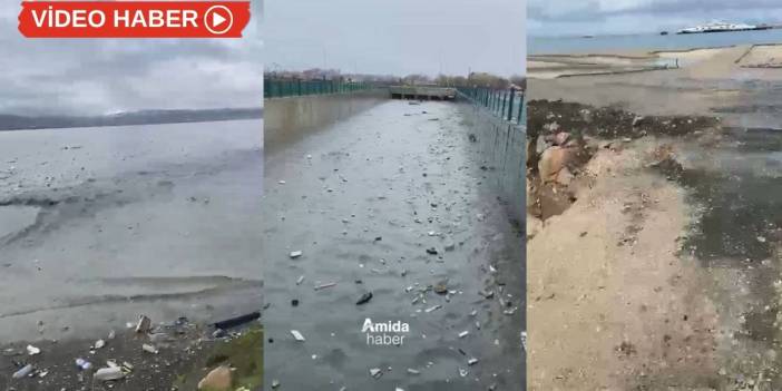 Van Gölü ‘imdat’ diyor: Atık doldu