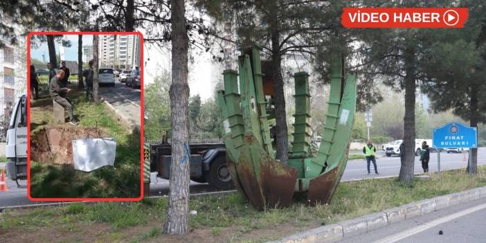 Diyarbakır’da ağaç protestosu: Belediyeden açıklama