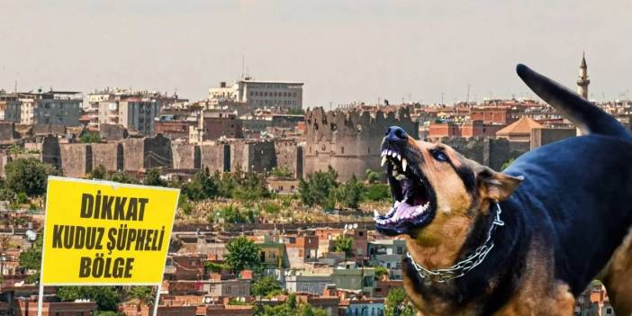 Diyarbakır’da kuduz paniği: Muhtar gerçeği anlattı