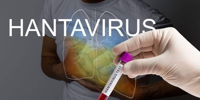 Hantavirüsü Covid gibi pandemi yaratır mı? Diyarbakırlı hekimden açıklama