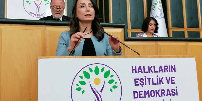 Tülay Hatimoğulları: Kürtçe anayasal güvenceye alınmalı
