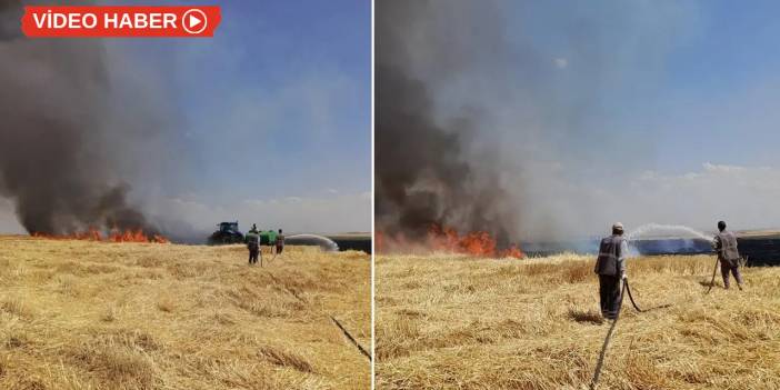 Diyarbakır'da anız yangını yüzlerce dönüm araziyi küle çevirdi