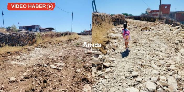 Diyarbakır’da yol çilesi: Kemoterapi hastası ambulansa ulaşamadı