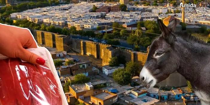 Diyarbakır’da skandal: Kavurmaya eşek eti koydular