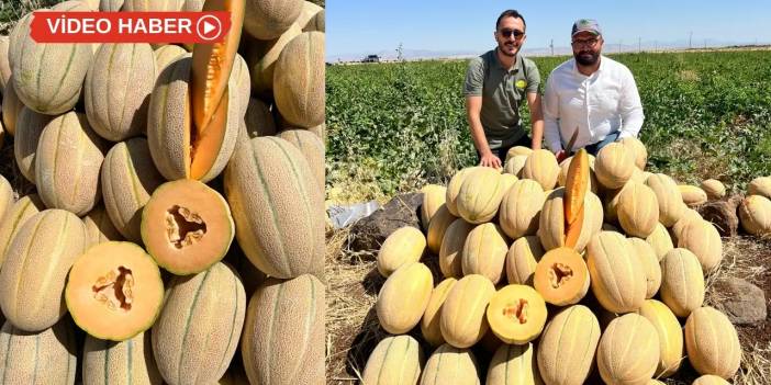 Midyat kavununa Diyarbakır’dan rakip geldi: 368