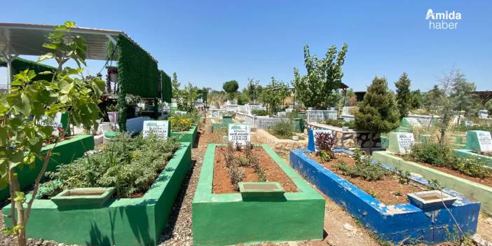 Yeniköy’de yer kalmadı: Yeni mezarlık için son bir ay