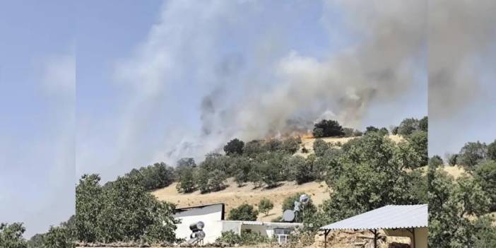 Diyarbakır’da ağaçlık alanda yangın paniği