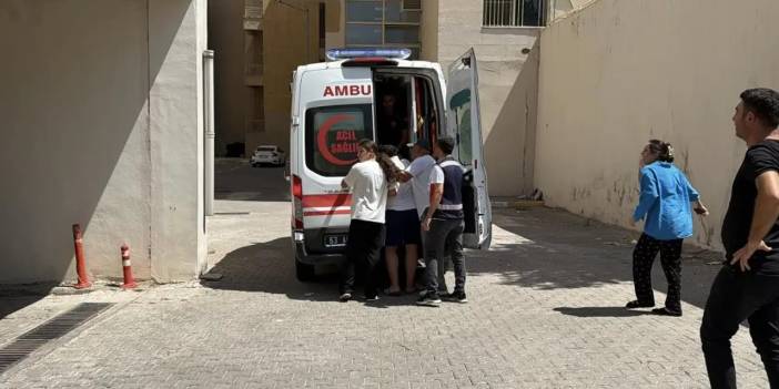 Diyarbakır'dan pikniğe gelmişlerdi: Fırat Nehri’nde can verdiler