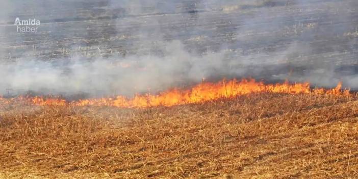 Diyarbakır’da anız yangınlarında düşüş: Risk sürüyor