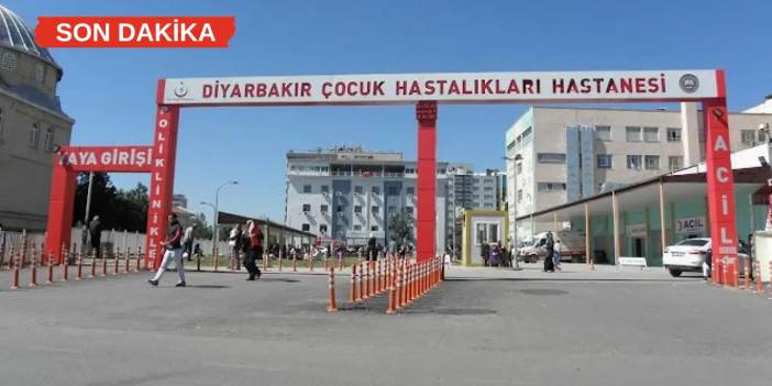 Diyarbakır’da kedinin ısırdığı çocuk yoğun bakımda