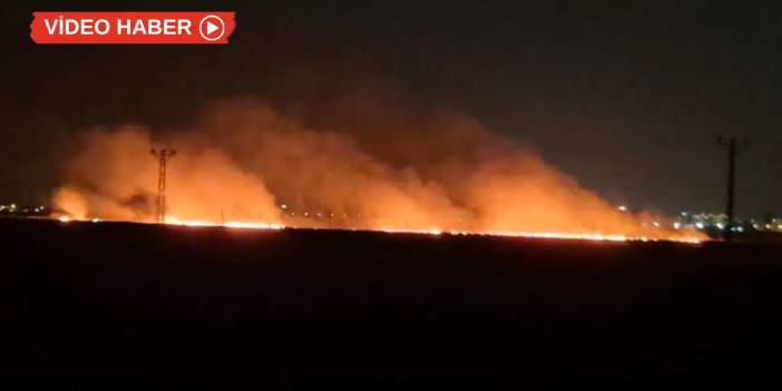 Diyarbakır’da otlak alanda yangın