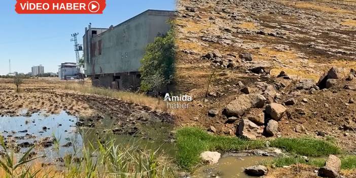 Diyarbakır’da mahalleye 6 aydır lağım suyu akıyor