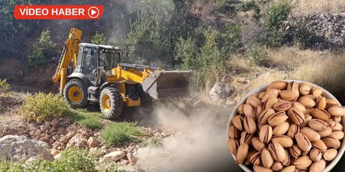 Siirt'te fıstık üreticilerine ulaşım desteği