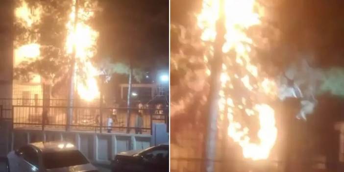 Diyarbakır’da havai fişek ağacı tutuşturdu