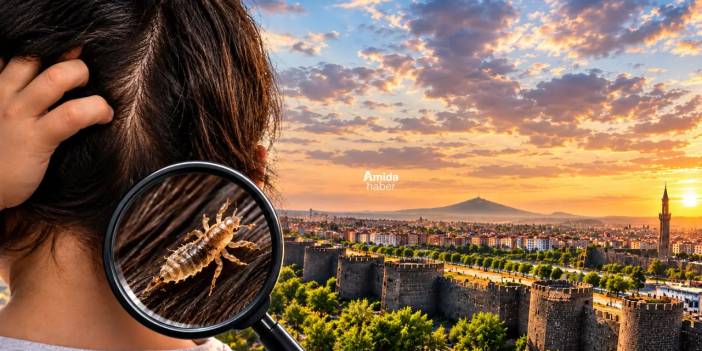 Diyarbakır’da bit vakalarına karşı ailelere uyarı