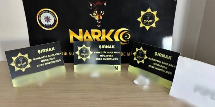Şırnak’ta 17 kişi tutuklandı