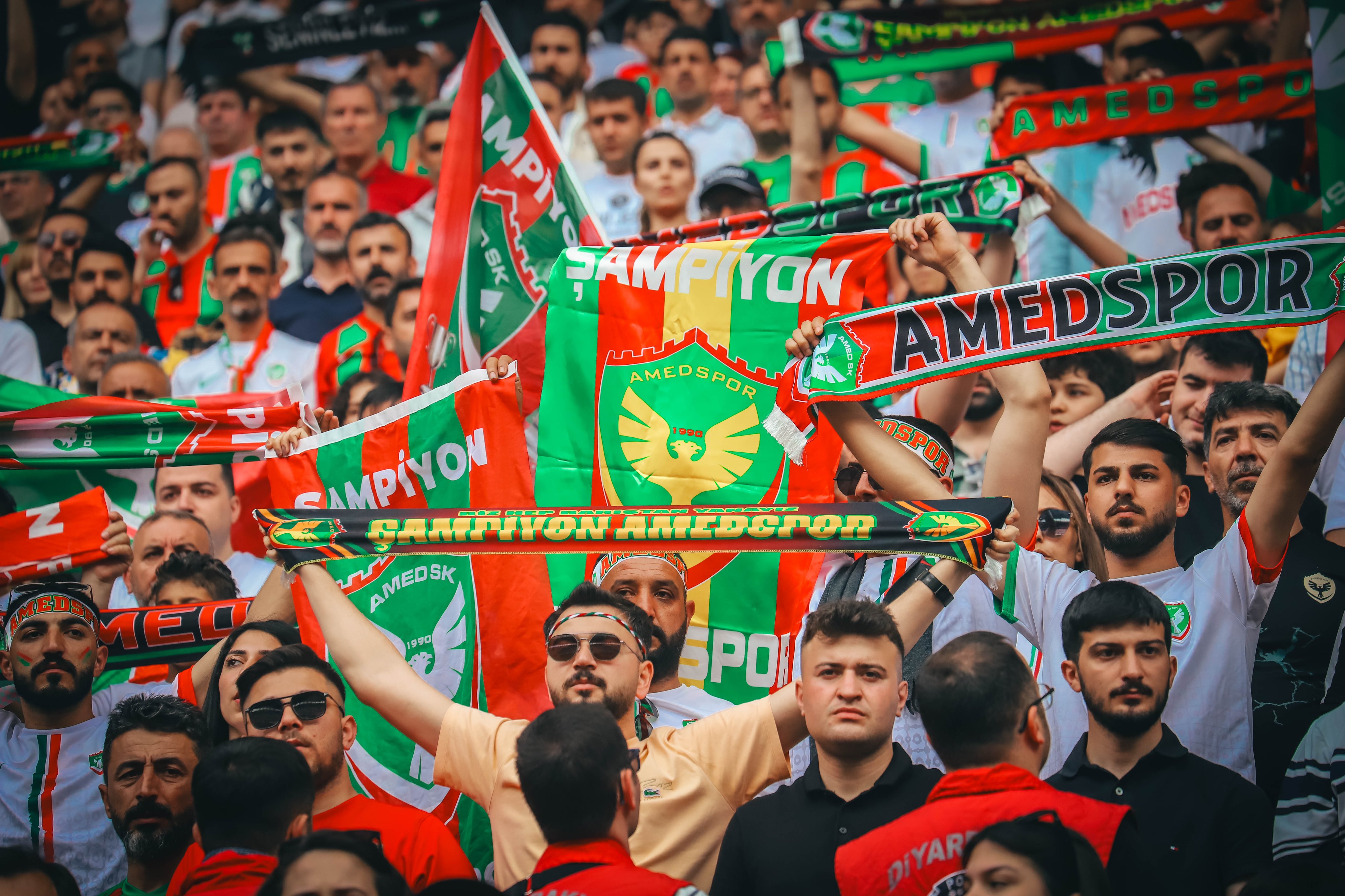 amed11-001.jpg