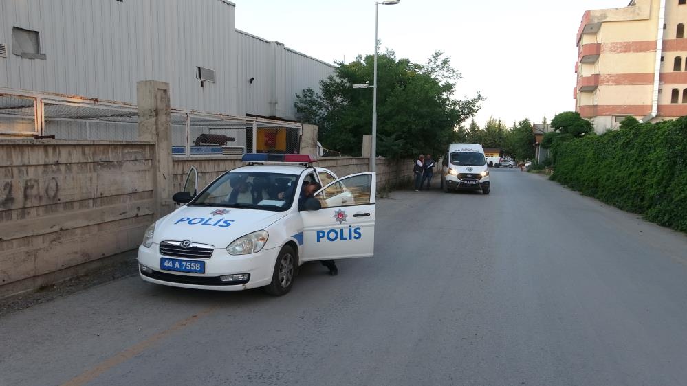 malatya-asma2-001.jpg