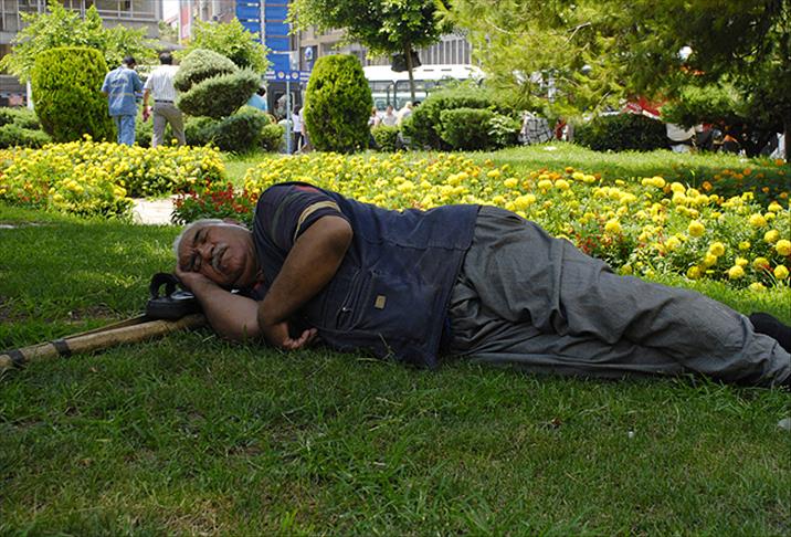2024/08/20/sicaklar-yasilar.jpg